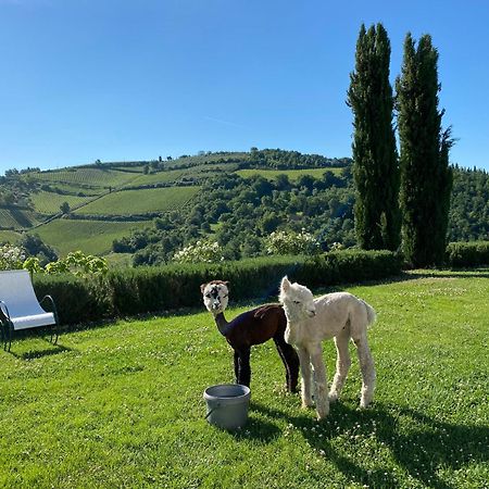 Villa Rignana Chianti Estate, Pool, Tennis,Cook Греве-ін-К'янті Екстер'єр фото